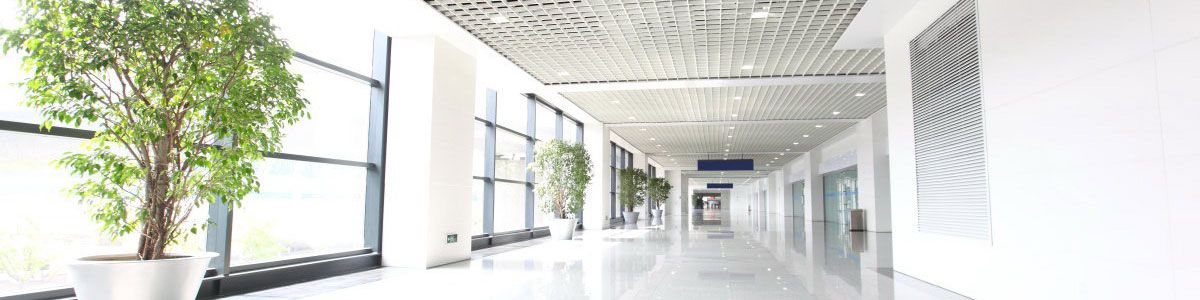  Tenemos hoteles y otros negocios en Madrid. INMOLINE GESTION DE ACTIVOS SL en Madrid